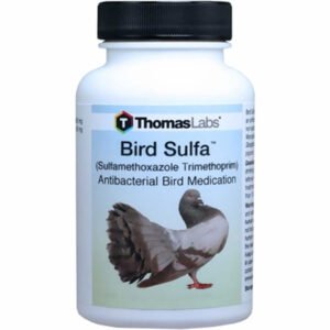 Thomas Labs Bird/Fish Sulfa - Sulfamethoxazole 960mg Tablets (60 Count)