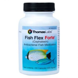 Thomas Labs Fish Flex Forte - Cephalexin 500mg 100 Capsules