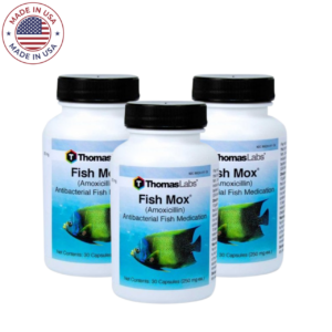 Thomas Labs Fish Mox 250mg amoxicillin 100 Capsules - 3 Pack