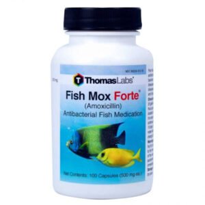 Thomas Labs Fish Mox 500mg Amoxicillin 100 Capsules